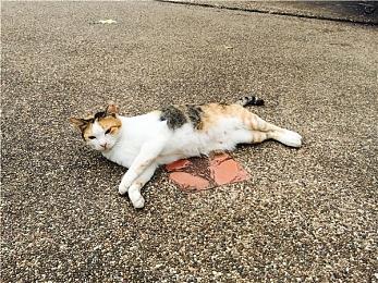 《死亡空间：重制版》新视频 重新定义恐怖游戏